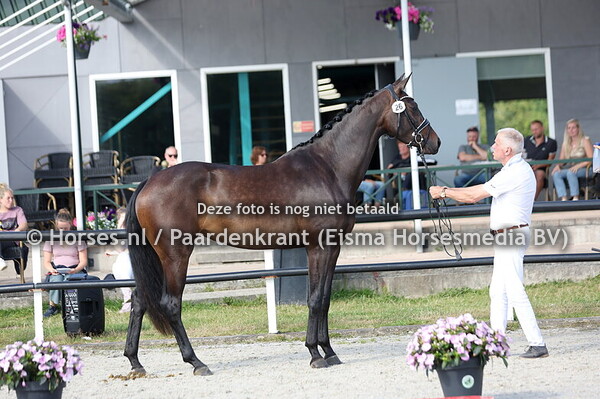 26 SCOOBYLOU  MTH (ZIYECHx LOBILOU MTH v.  GOVERNOR)