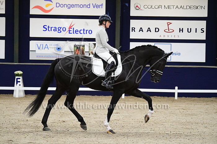 Donick Dontje - Night Dancer