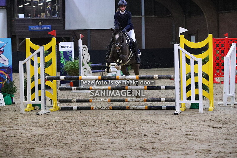 Zilfia's Hoeve Springen pony's 04-02-2024 90 cm Cat. CDE