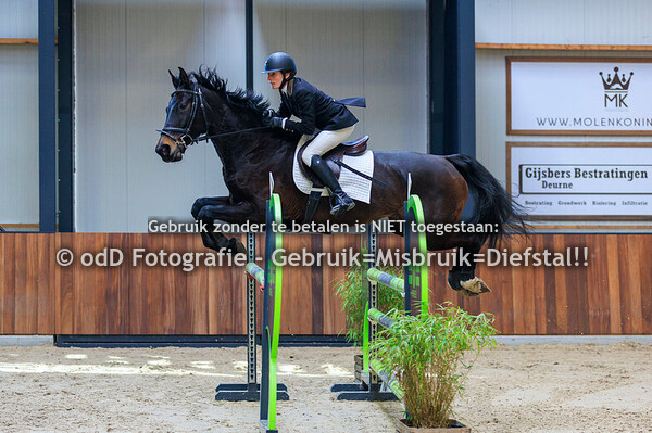 CH LRV Heibloem 120cm 09-03-25