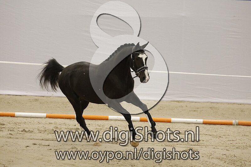 Spiedie Jane v. Abrillon