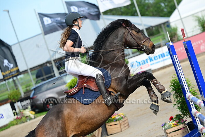 Sem Jansen - Izzy Gold