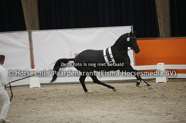 343 (Desperados x Westpoint)