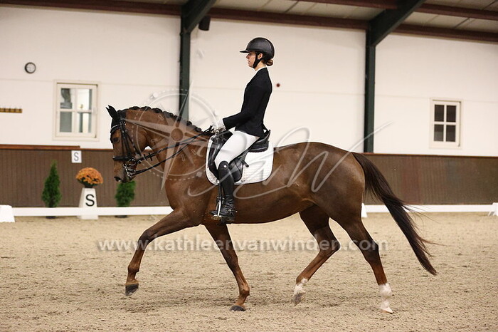 Robin Scheepers -  Flaminga-Bella