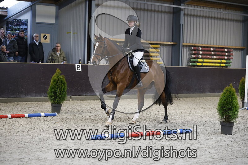 Pentagon v. Tangelo van de Zuuthoeve