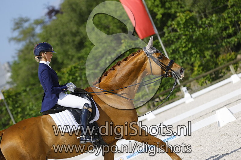 Sunny de la Ferme Rose