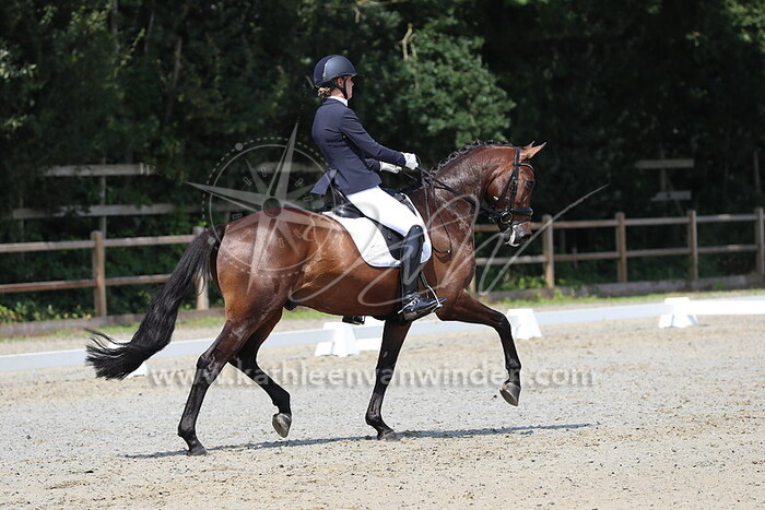 Sanne van der Giessen