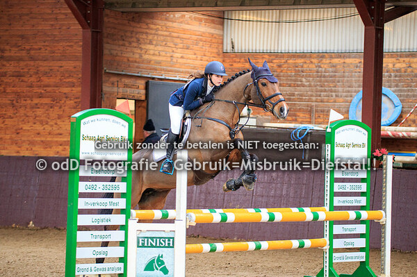 Indoor SGW De Mortel Paarden B 29-12-19