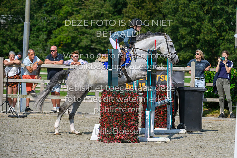 4 Paarden oefenspringen