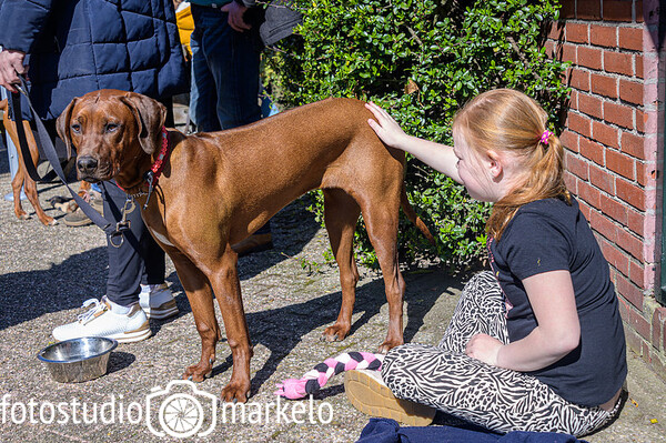 Pepper Reünie 27 maart 2022