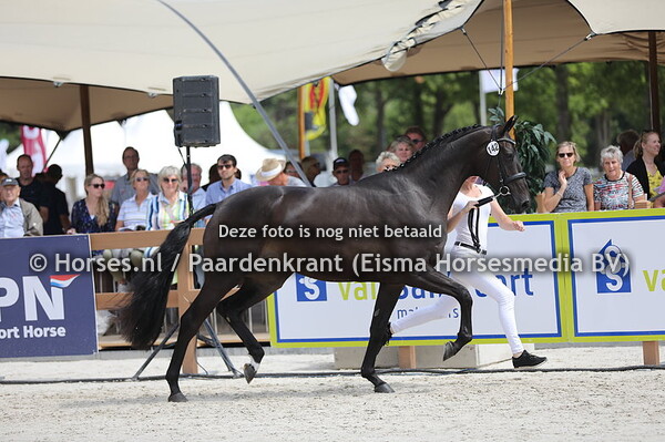142 Odoraline vd Watermolen