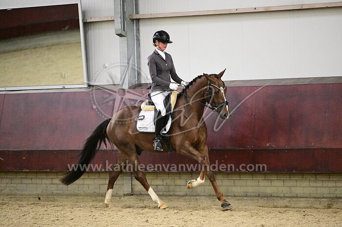 Ingrid Gerritsen - Silvercloud Vogelzang