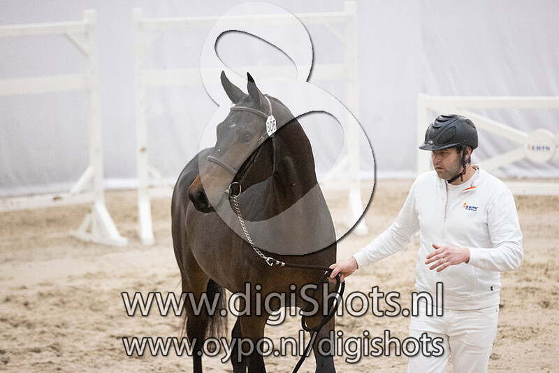 NN v. Comme Il Faut - 806