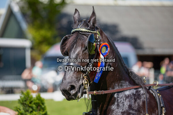 08. Damesklasse regionaal