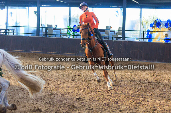 Indoor SGW cross pony's b 30-12-25