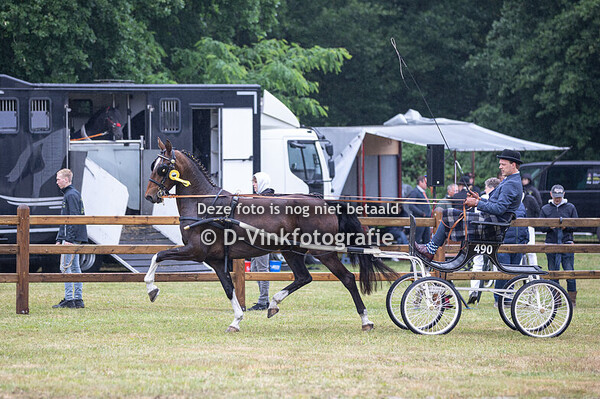 02. Eenspannen tuigpaarden lage limiet