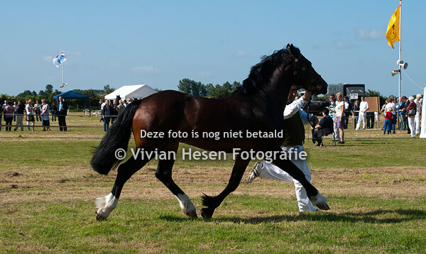 Internationale Show Vrouwenpolder