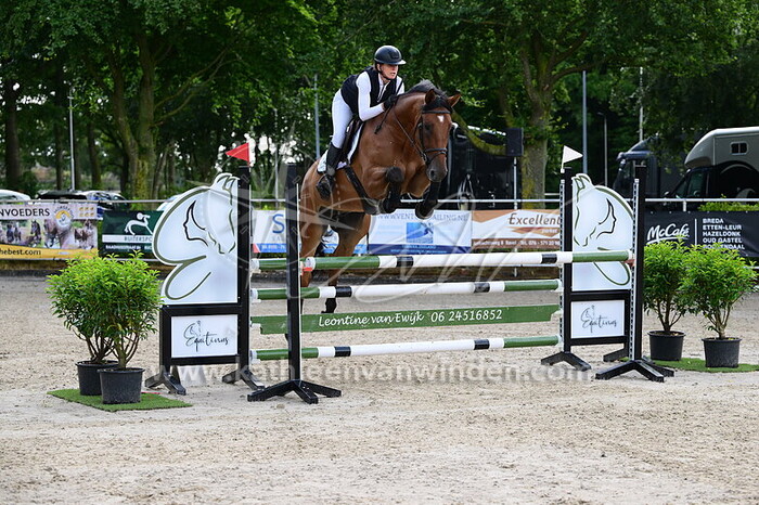 Mischa Everse-van de Kraats - Sixpack