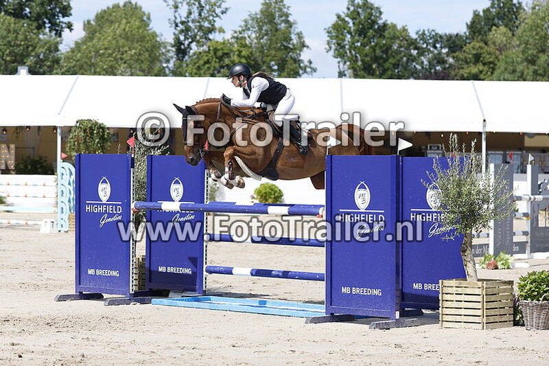 mafalda costa marques