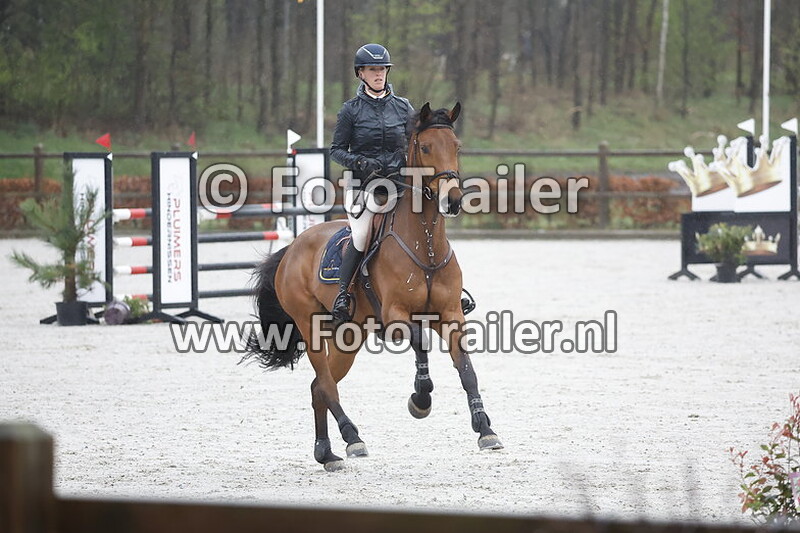 mareille van geel schroder