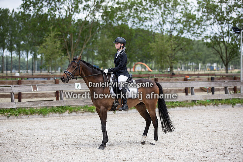 Lisa Vermeulen - Early