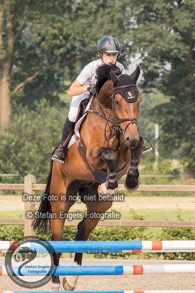 2018-06-09 springen reuver paarden