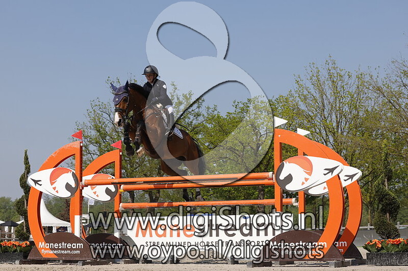 D Chacco S Dominator Z