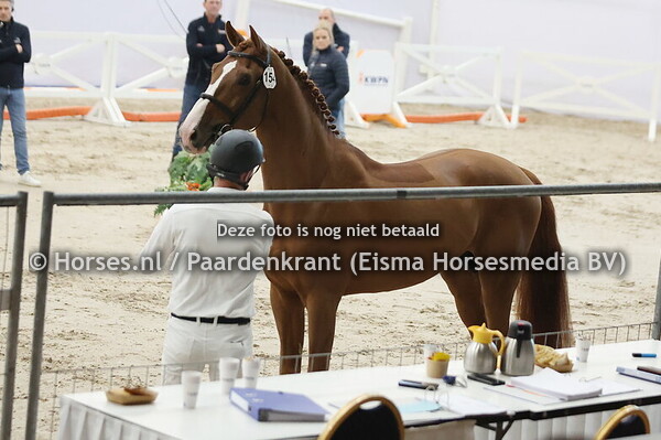 154 (Latif VS x Cancara)