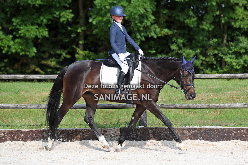 KNHS Regiokampioenschappen Utrecht 17-06-2023 Dressuur Verenigingskampioenschap