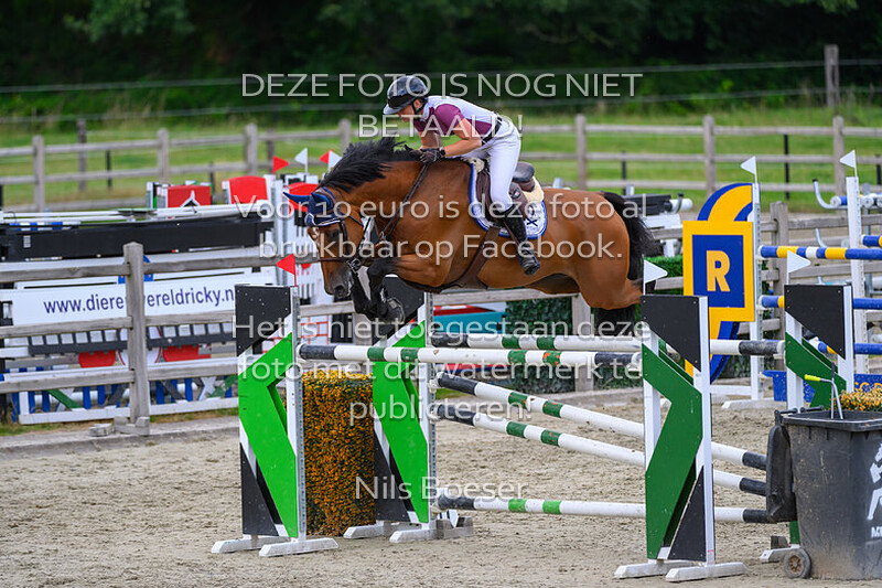 5 Paarden 1.30m & 1.35m 2 fasen special