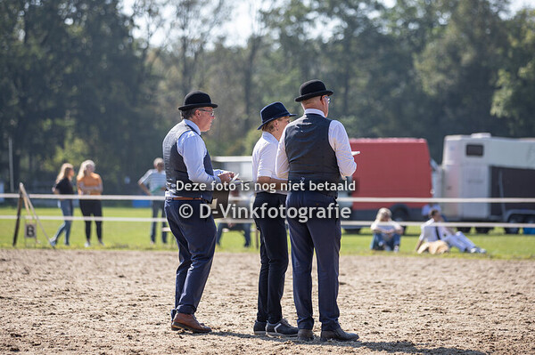 Rubriek 7 premiekeuring 4 jaar en oudere stamboekmerries