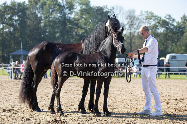 17. Ayla van de Black Stables