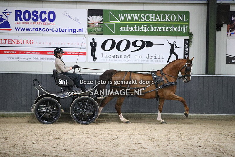 De Voornruiters De Meern Mennen Dressuur 27-01-2024 Enkelspan M/Z/ZZ 16.00-17.40 uur