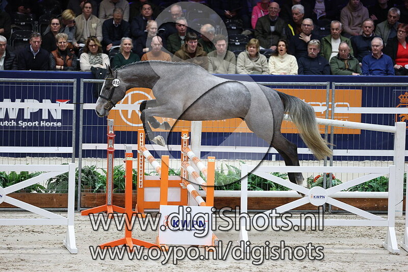 Silver v. I'm Special de Muze