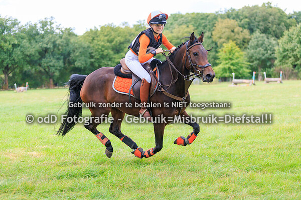 sgw bollert brons pony b-abcde 13-09-25
