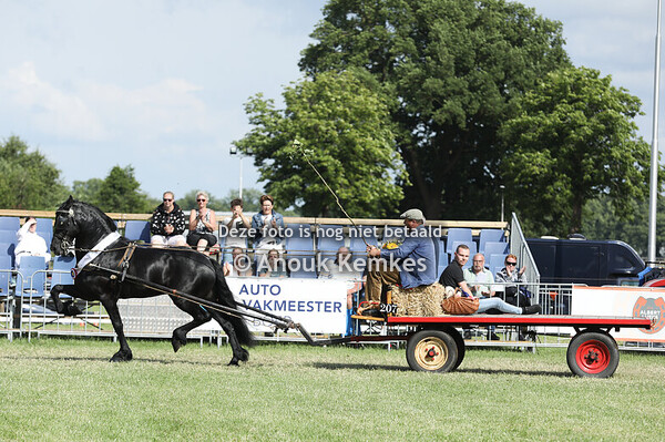 Huldiging Kampioenen