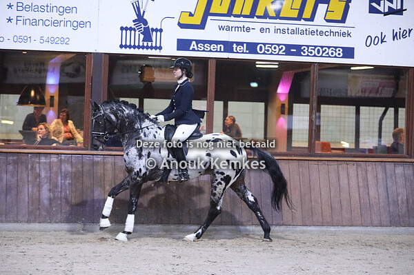 Hengstenshow Exloo 2025