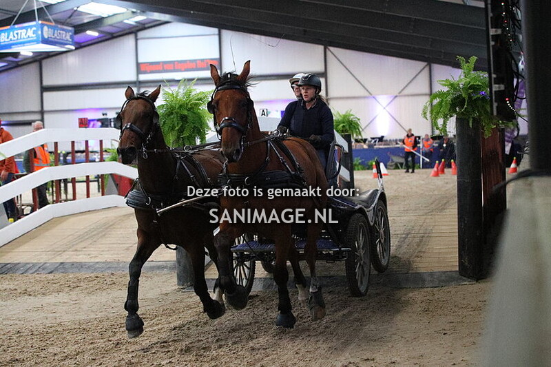 De Voornruiters Menmarathon 03-10-2025 paarden dubbelspan (16.00 uur) 