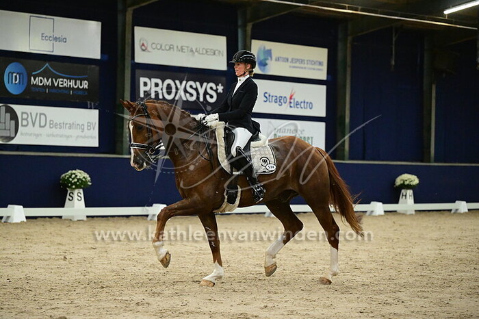 Joyce Wever - No Doubt VE