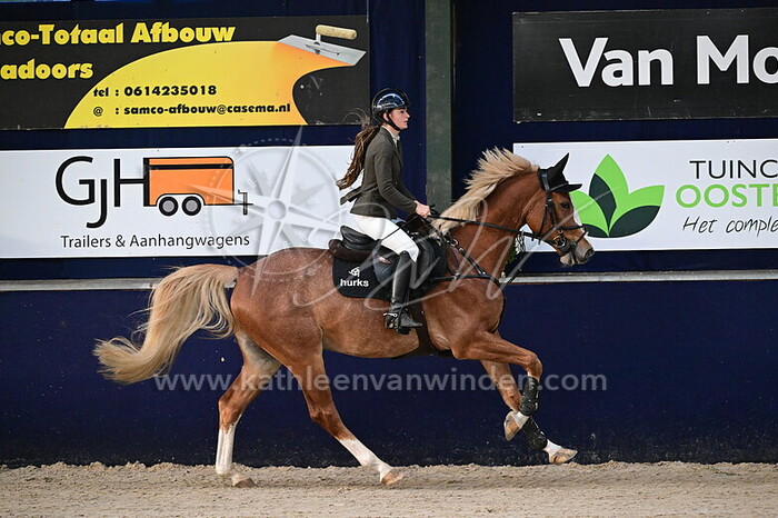 Roos Louwens - Rocky