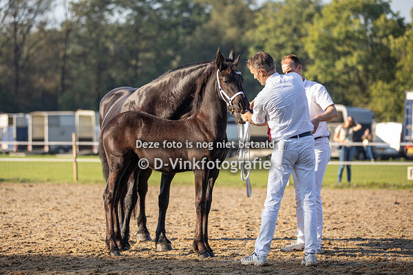 05. Berend van de Renshoeve