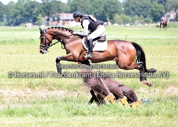 502  NN1 (LUCIO SILLA XX X MYTENS XX) Merel Blom