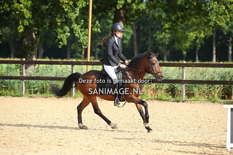 Manege Groenewoude springen 31-08-2025 Pony's 40/50/60 cm