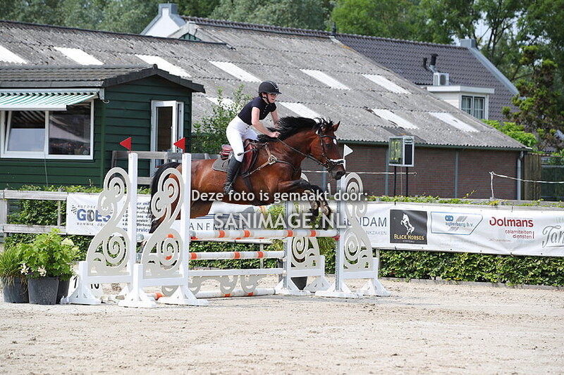 Zilfia's Hoeve Springen 09-07-2023 Paarden 80/90 cm