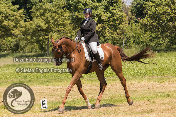 2017-05-25 Dressuur Paarden Nederweert