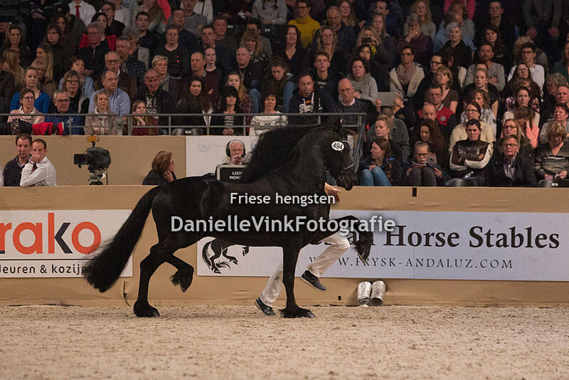 Hengstenkeuring 2018 Elias 494