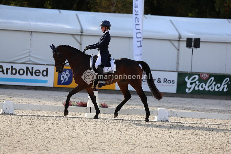 BOEKELO_DRESSUUR_DO_10OCT_2024