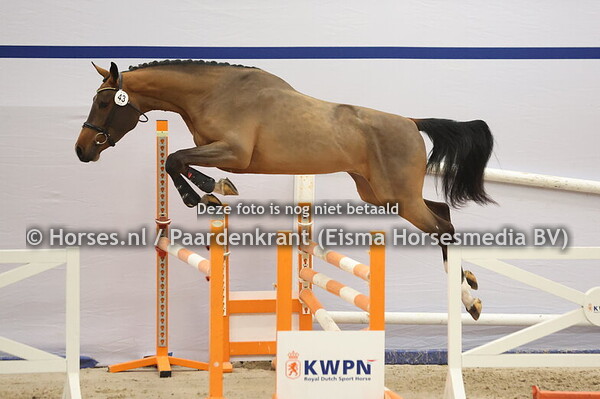 43 Comme il faut x Boyfriend du seigneur)