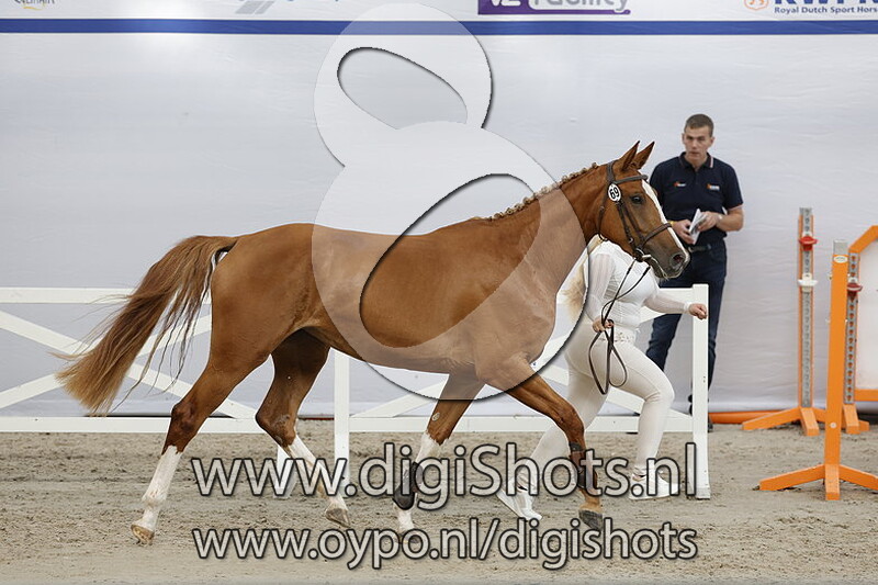 Punkendy v. Jilbert van t Ruytershof