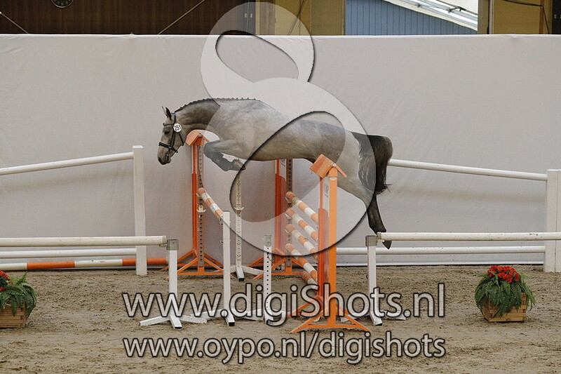 251 Vandinos G Z v. Vannan